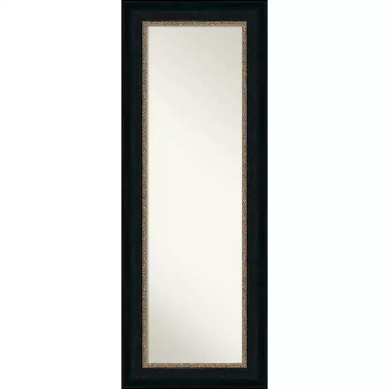 21" x 55" Non-Beveled Paragon Bronze Full Length on The Door Mirror - Amanti Art: Polystyrene Frame Includes Mounting Hardware